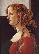 Sandro Botticelli  oil painting artist